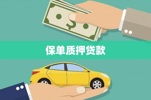 灌云保单质押贷款