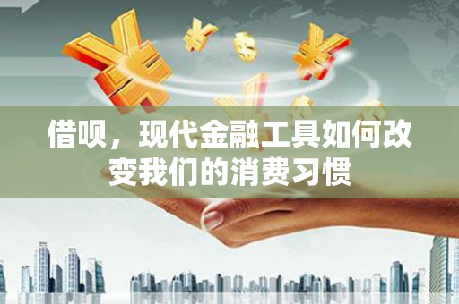 灌云借呗，现代金融工具如何改变我们的消费习惯