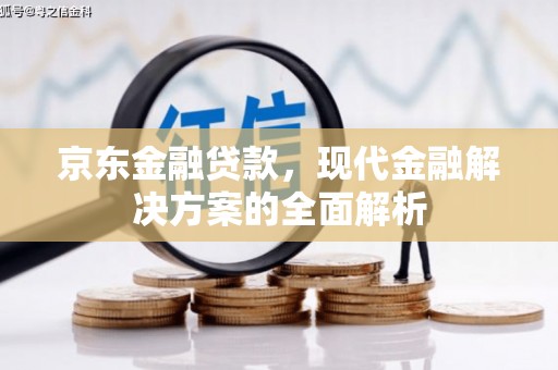 灌云京东金融贷款，现代金融解决方案的全面解析