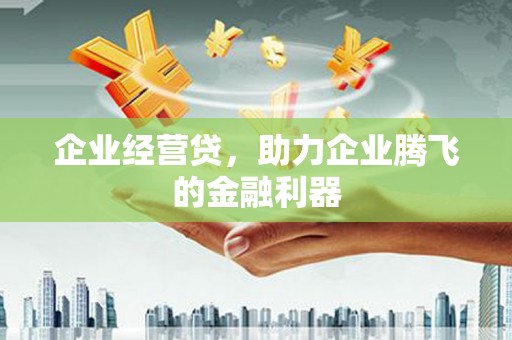 灌云企业经营贷，助力企业腾飞的金融利器