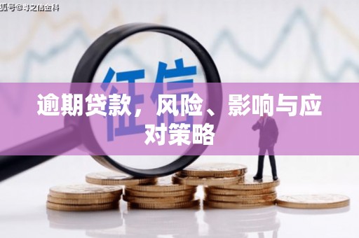 灌云逾期贷款，风险、影响与应对策略