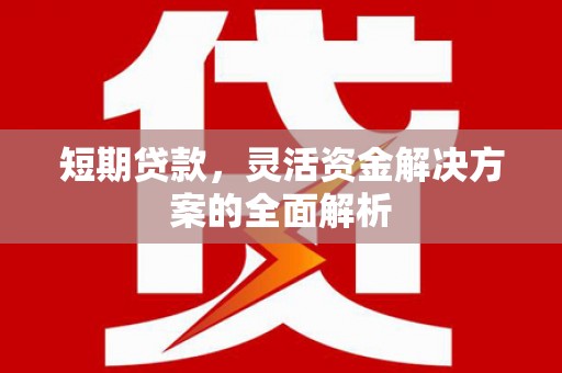 灌云短期贷款，灵活资金解决方案的全面解析