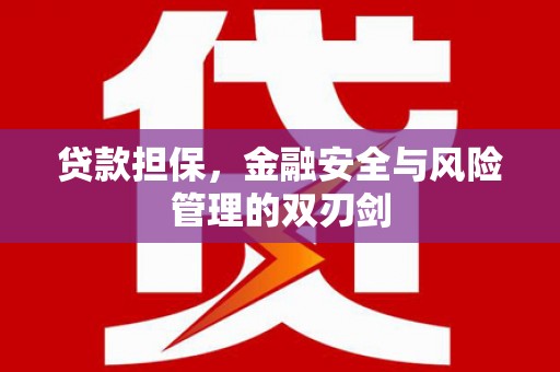 灌云贷款担保，金融安全与风险管理的双刃剑
