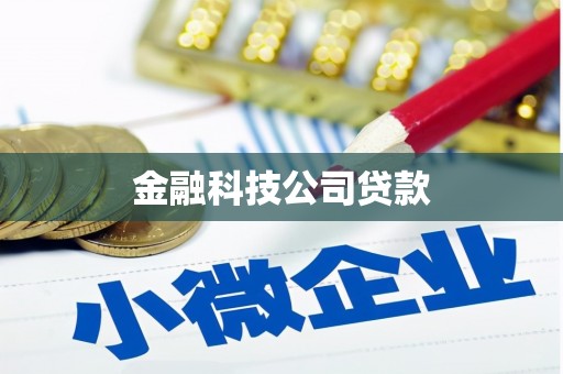 灌云金融科技公司贷款
