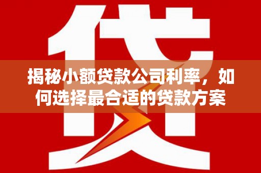 灌云揭秘小额贷款公司利率，如何选择最合适的贷款方案