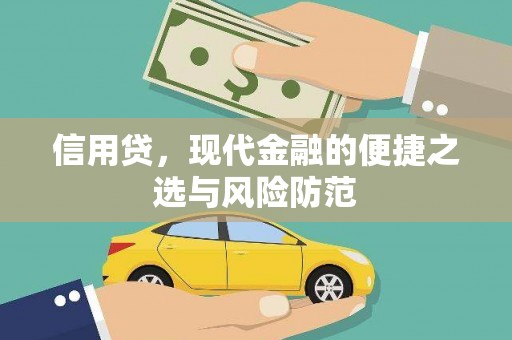 灌云信用贷，现代金融的便捷之选与风险防范