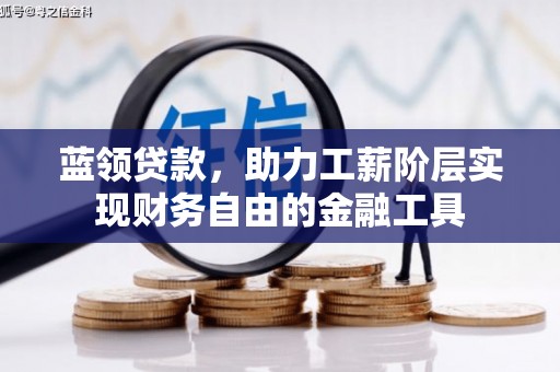 灌云蓝领贷款，助力工薪阶层实现财务自由的金融工具