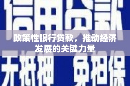 灌云政策性银行贷款，推动经济发展的关键力量