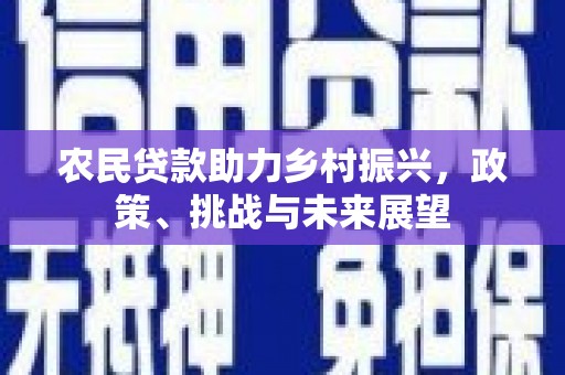 灌云农民贷款助力乡村振兴，政策、挑战与未来展望