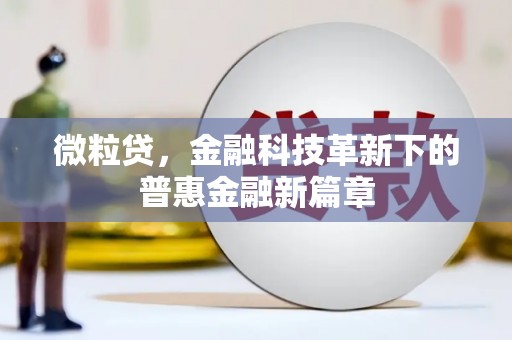 灌云微粒贷，金融科技革新下的普惠金融新篇章