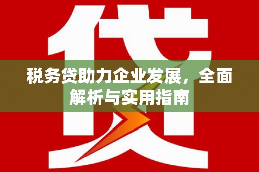 灌云税务贷助力企业发展，全面解析与实用指南