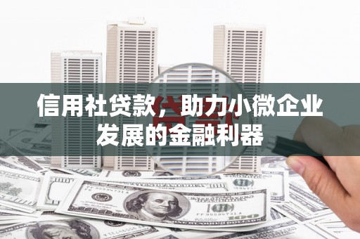灌云信用社贷款，助力小微企业发展的金融利器