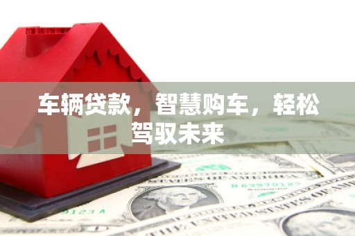 灌云车辆贷款，智慧购车，轻松驾驭未来
