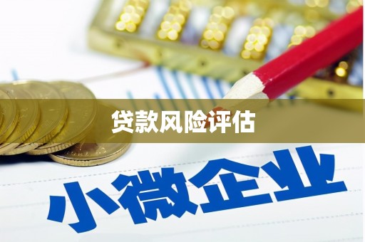灌云贷款风险评估