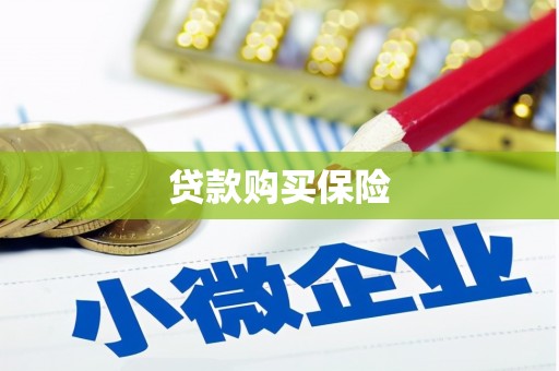 灌云贷款购买保险