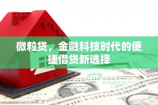 灌云微粒贷，金融科技时代的便捷借贷新选择