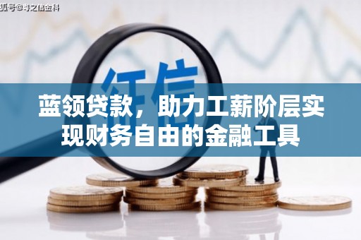灌云蓝领贷款，助力工薪阶层实现财务自由的金融工具