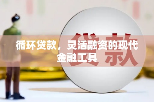 灌云循环贷款，灵活融资的现代金融工具