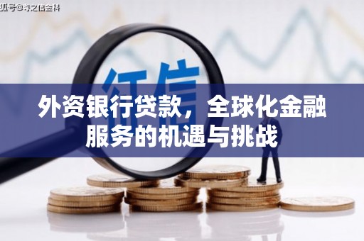 灌云外资银行贷款，全球化金融服务的机遇与挑战