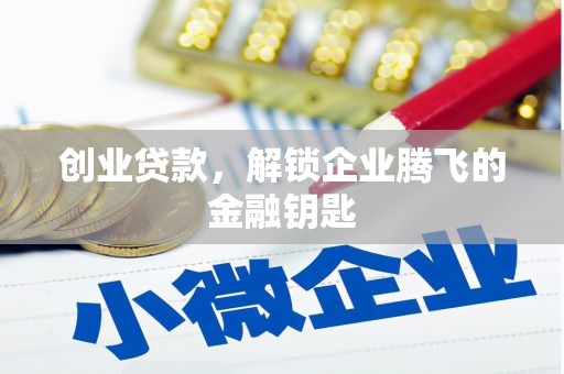 灌云创业贷款，解锁企业腾飞的金融钥匙