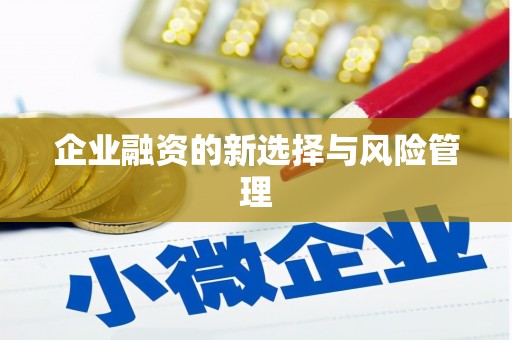 灌云企业融资的新选择与风险管理