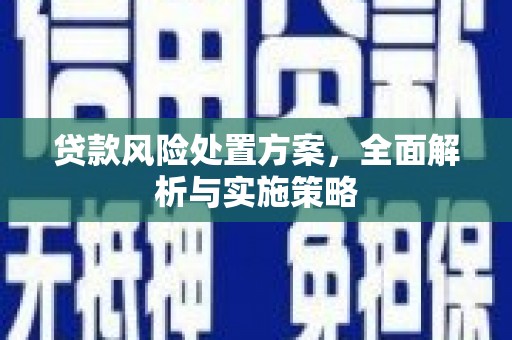 灌云贷款风险处置方案，全面解析与实施策略