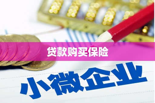 灌云贷款购买保险