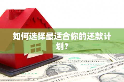 灌云如何选择最适合你的还款计划？