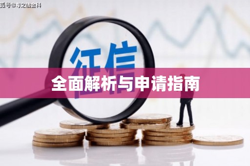 灌云全面解析与申请指南