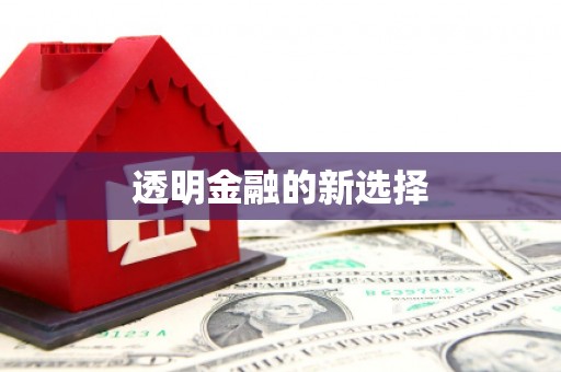 灌云透明金融的新选择