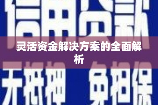 灌云灵活资金解决方案的全面解析