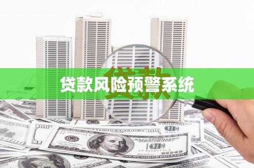 灌云贷款风险预警系统