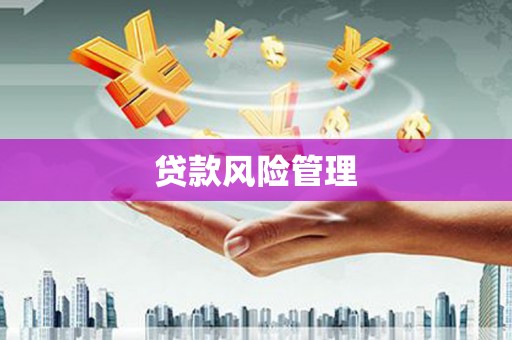 灌云贷款风险管理