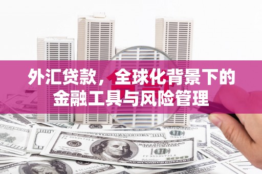 灌云外汇贷款，全球化背景下的金融工具与风险管理