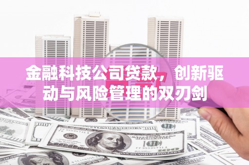 灌云金融科技公司贷款，创新驱动与风险管理的双刃剑