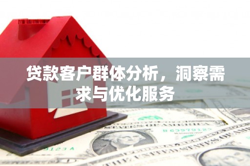灌云贷款客户群体分析，洞察需求与优化服务